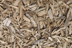 biomass boilers Gaufron